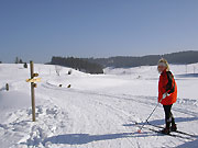 VGWV 2003 Skiwandern